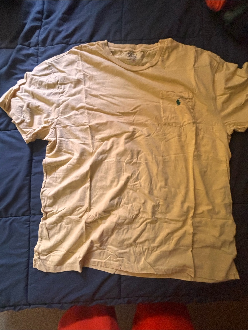 Polo by Ralph Lauren Short Sleeve Pocket Tee in Light Beige with Green Pony